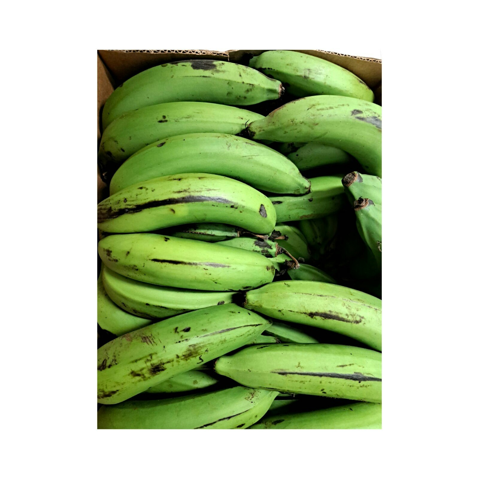 Fresh Raw Banana (Matoki) approx 500g