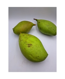Fresh Raw Mango (Totapuri) Approx 500g