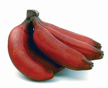 Fresh Red Banana  2 stick  approx 400g