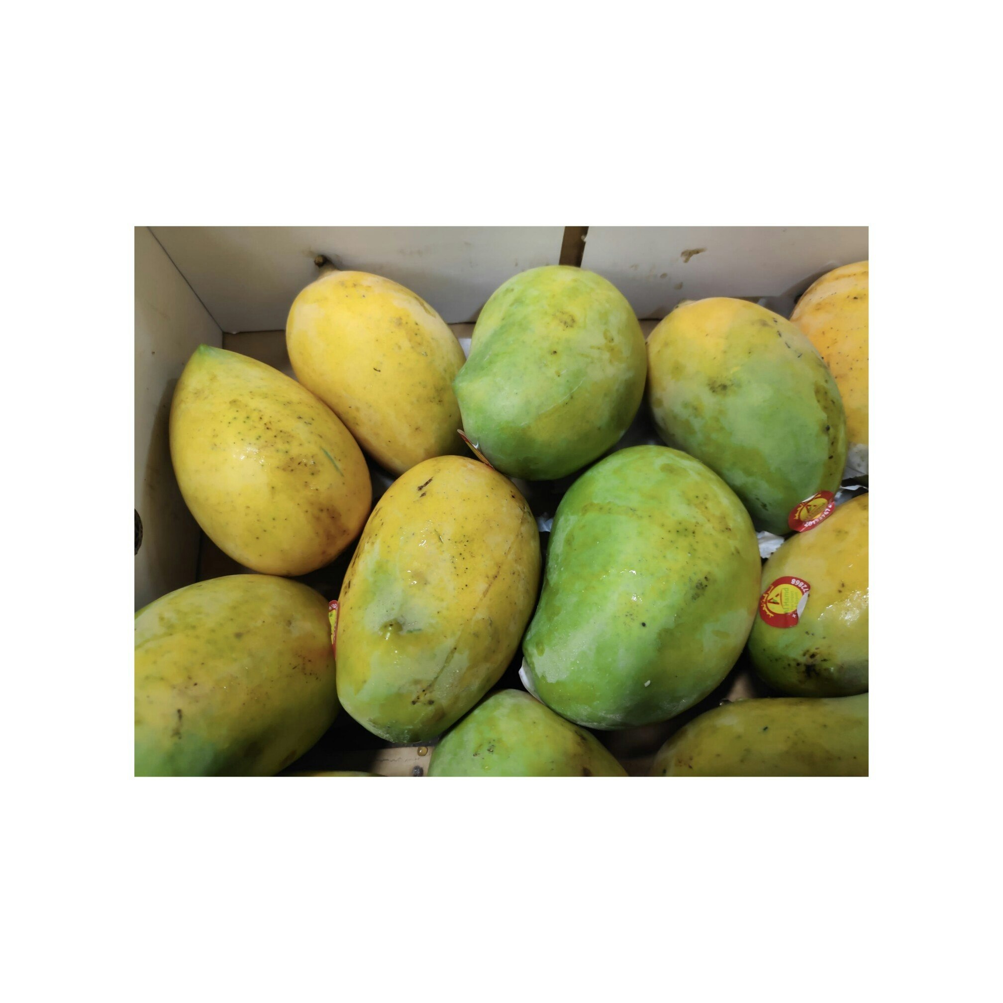 Fresh Ripe Mango 500g (approx)