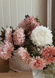 Aster - King Size Apricot
