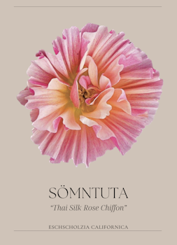 Sömntuta - Thai Silk Rose Chiffon