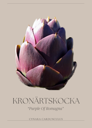 Kronärtskocka - Purple of Romagna