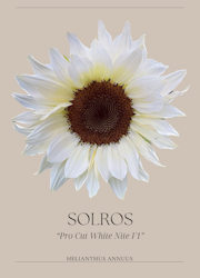 Solros - F1 "Pro Cut White Nite"