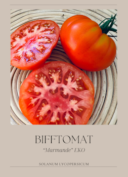 Bifftomat - Marmande EKO