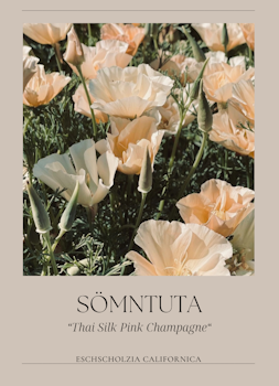 Sömntuta - Thai Silk Pink Champagne