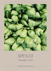 Spenat -Matador EKO