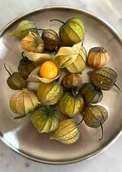 Physalis - Kapkrusbär