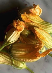 Zucchini - Costata Romanesco EKO