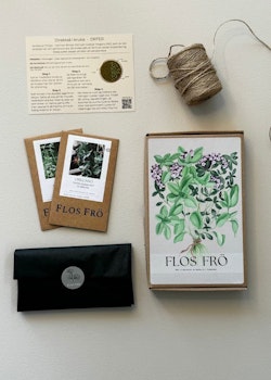 Fröbox/Direktså i kruka - ÖRTER