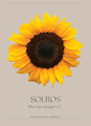 Solros - F1 "Pro Cut Orange"