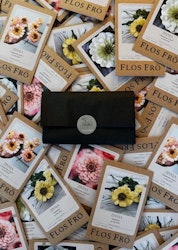 Fröpaket Zinnia Summer - fyra sorter