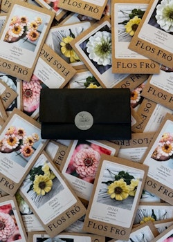 Fröpaket Zinnia Summer - fyra sorter