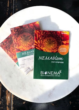 NEMAblom - biologiskt medel mot sorgmyggor