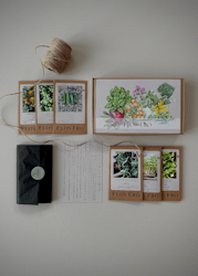 Fröbox - Indoor Garden