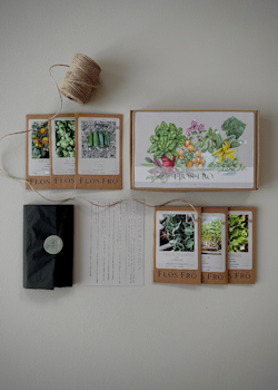 Fröbox - Indoor Garden