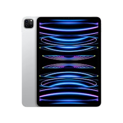 iPad Pro 11" 2022 1 TB WiFi