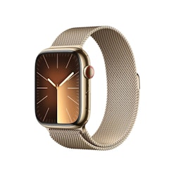 Apple Watch Series 9 GPS + Cellular 41mm Rostfri stålboett med Milaneselänk