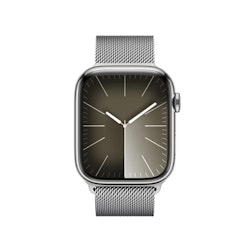 Apple Watch Series 9 GPS + Cellular 41mm Rostfri stålboett med Milaneselänk