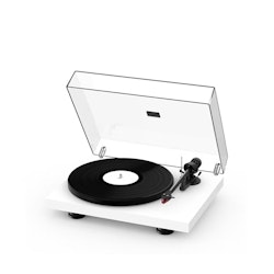 PRO-JECT DEBUT CARBON EVO HG