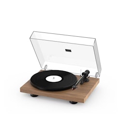 PRO-JECT DEBUT CARBON EVO HG