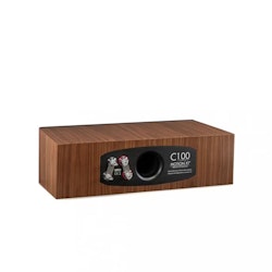MARTIN LOGAN MOTION XT C100