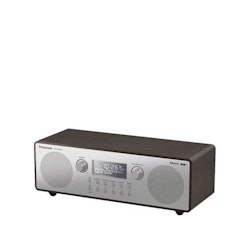 Panasonic RF-D100BTEGT