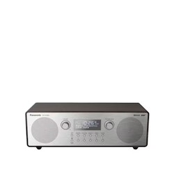 Panasonic RF-D100BTEGT