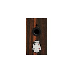 Monitor Audio Gold 50
