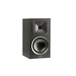 Martin Logan Foundation B1