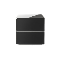 Martin Logan Dynamo 10
