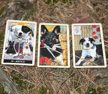Wise Dog Tarot