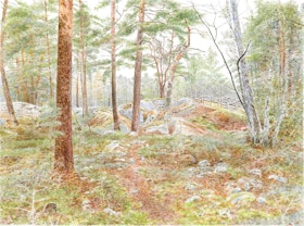 Bergaskogen 3
