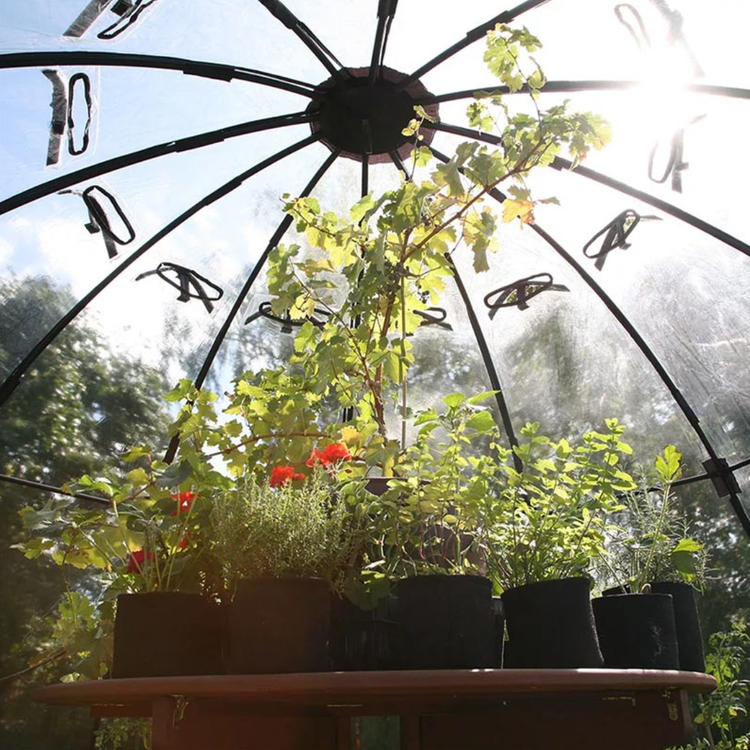 Sunbubble Large