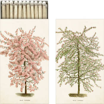 Tändsticksask Rosa Blomträd