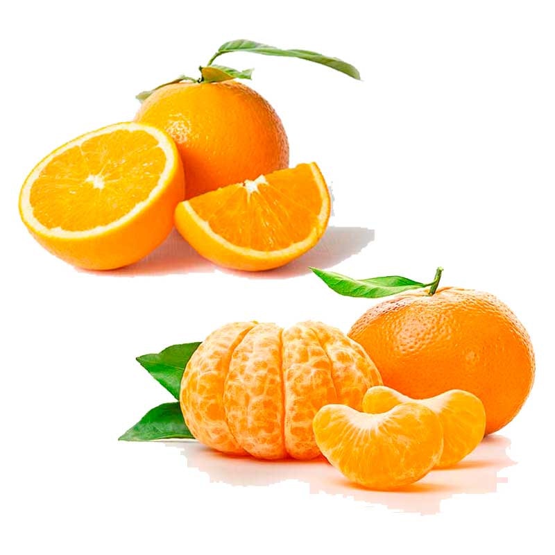 Apelsin och Clementin 4 kg EKO