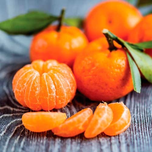 Clementin  EKO 4 kg