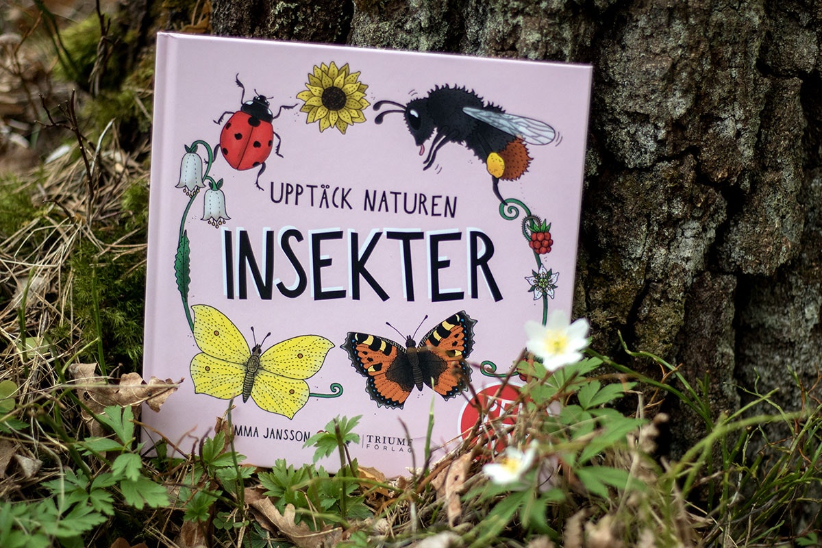 Pekbok - Insekter