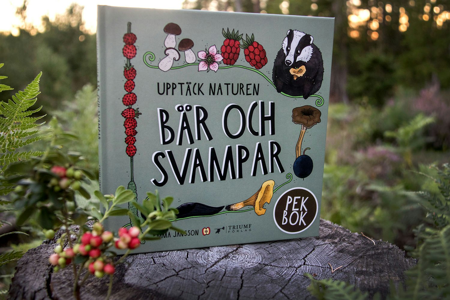 Pekbok - Bär och svampar