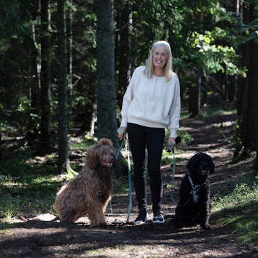 Hunden i vardagen, en bok  om att leva tillsammans med sin hund i harmoni av Madeleine Pettersson