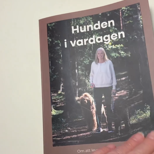 Hunden i vardagen, en bok  om att leva tillsammans med sin hund i harmoni av Madeleine Pettersson