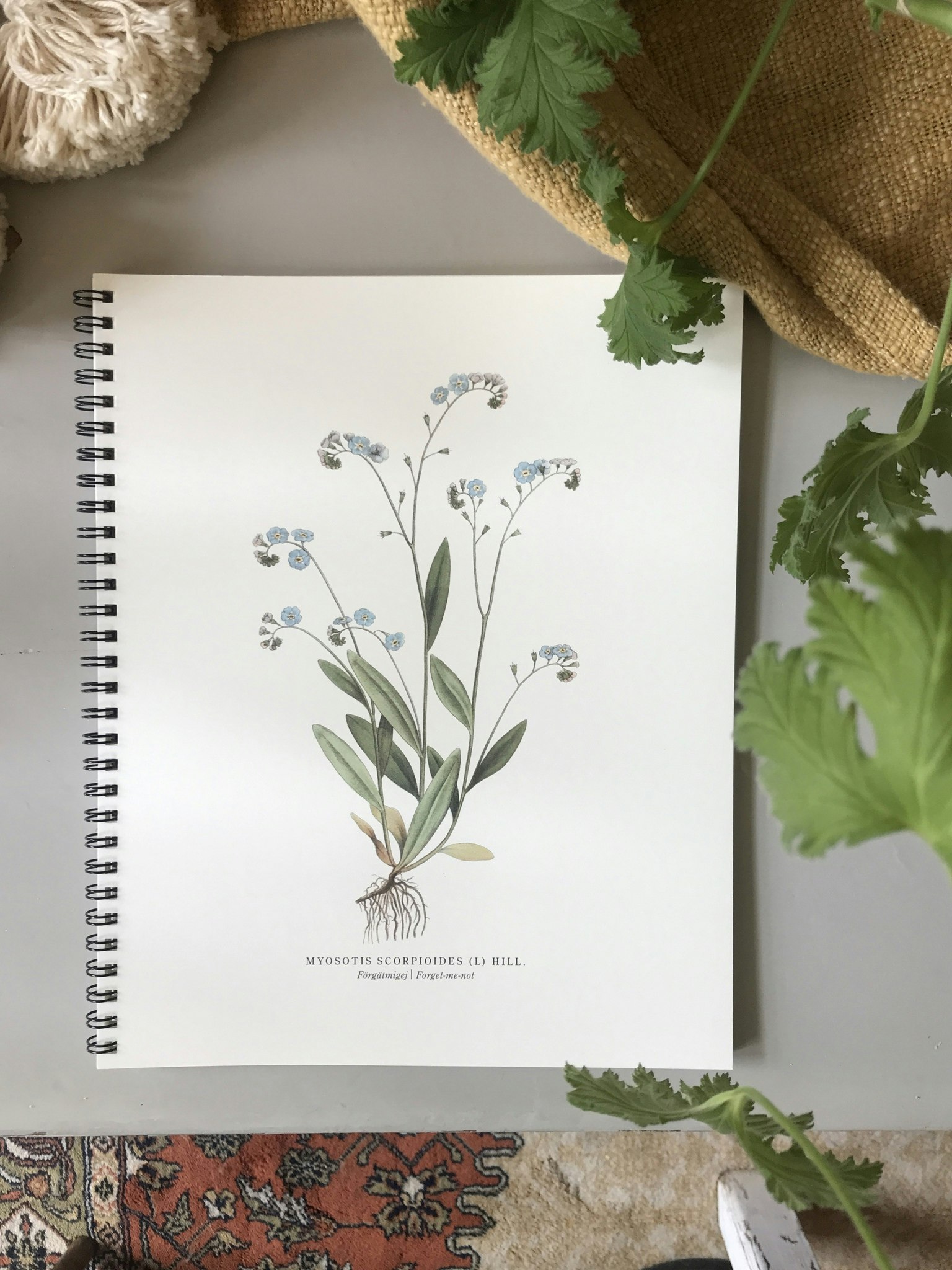 Writing book Forget-me-not