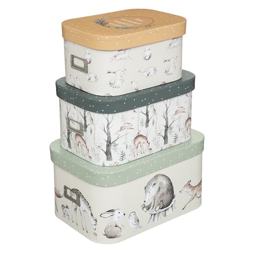 Oppbevaringsbokser Forest, 3-pack