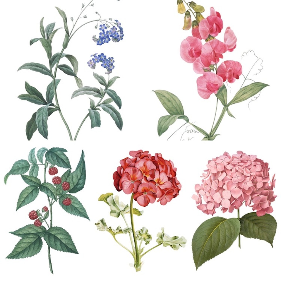 Blomsterkassen