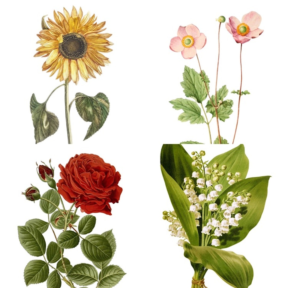 Blomsterkassen