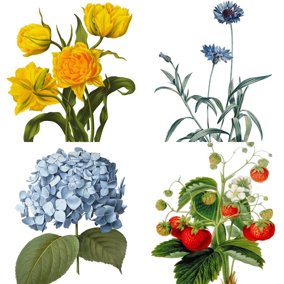 Blomsterkassen
