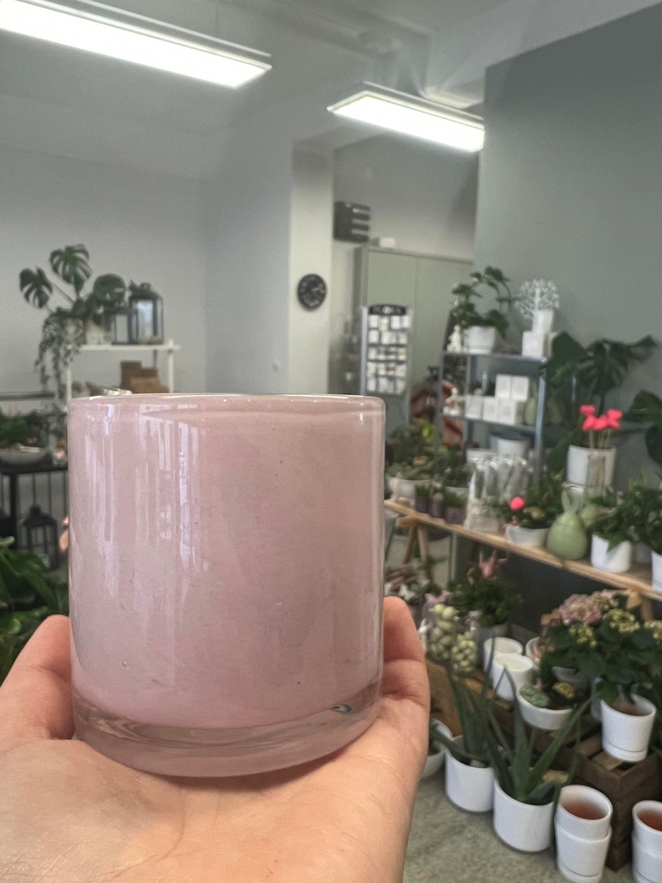 Ljuslykta ROSA