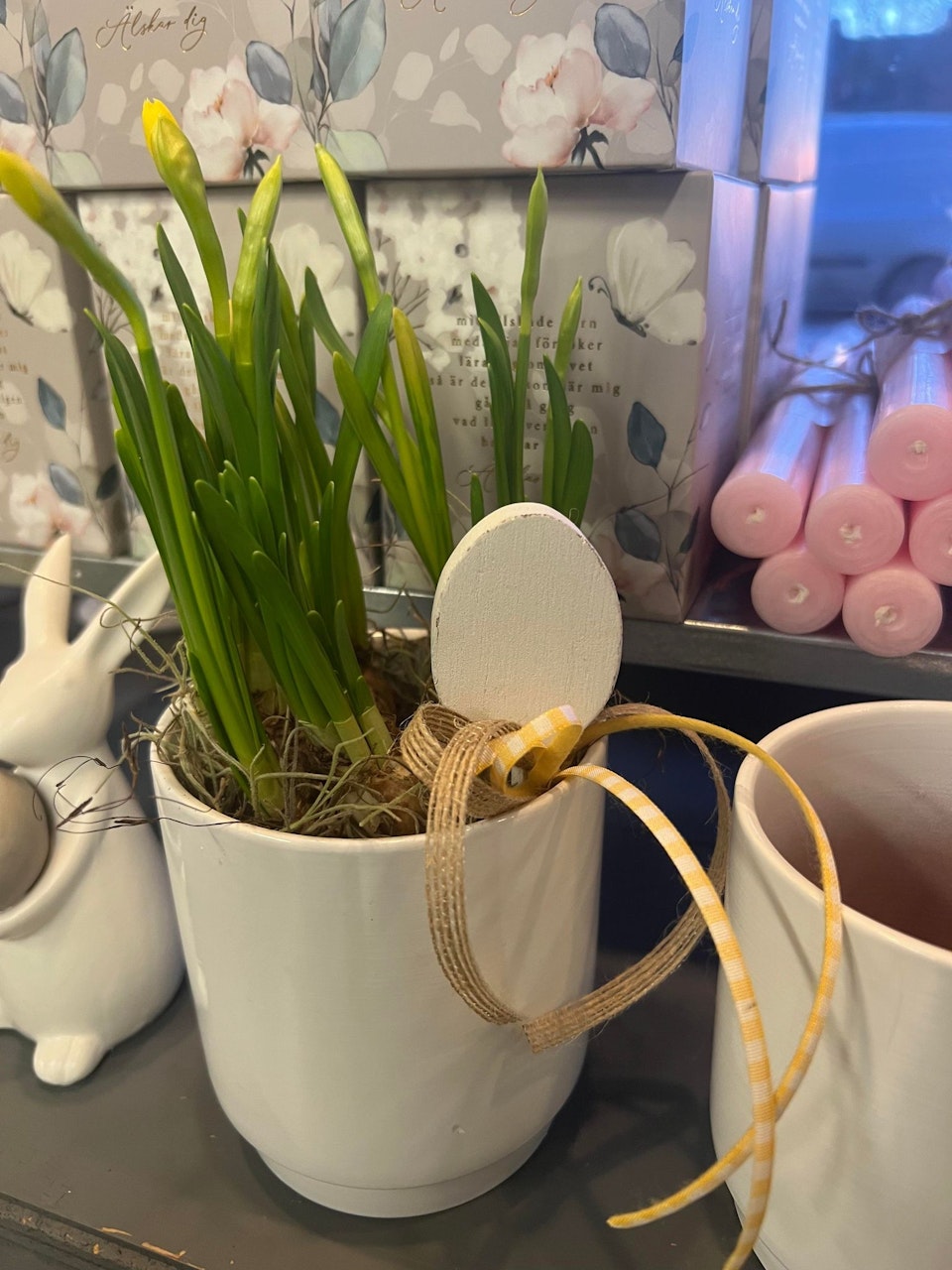 Sticks - ägg