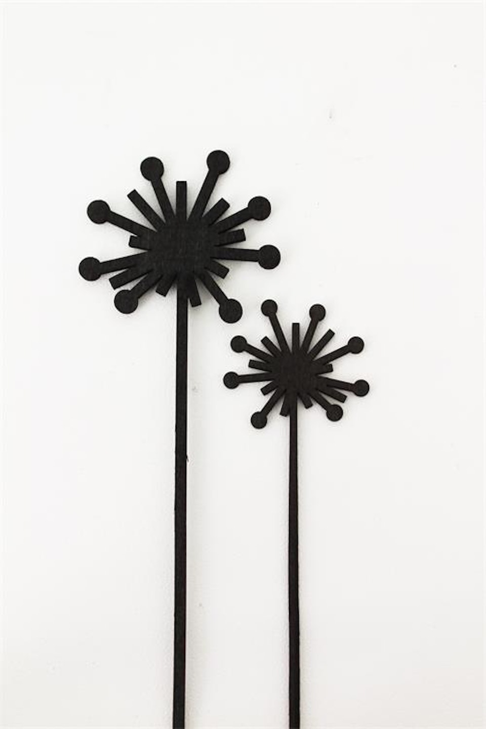 Sticks -daisy
