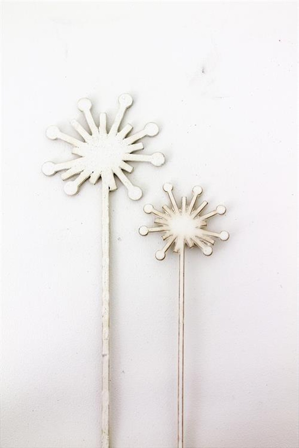 Sticks -daisy